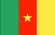 カメルーン Flag