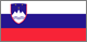 スロベニア Flag