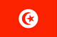 チュニジア Flag